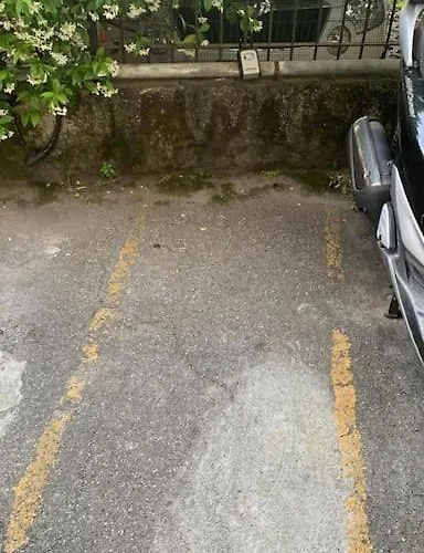 Arpinati At Sea * Rapallo